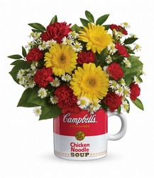 Campbell's Healthy Wishes by Teleflora in Beavercreek, Ohio, near Dayton, OH